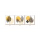 Wooden 3 Pis Set(14x14)  (T-1310)